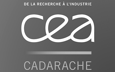 Logo CEA_NB